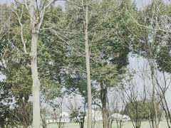 -上海杨姆庄园