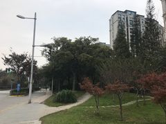 -新江湾城公园