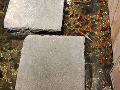 -邈墨茶馆(凤起路店)