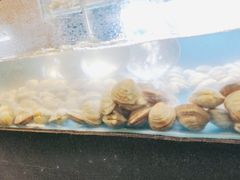 -欢乐牧场·海鲜烧烤涮自助餐(蚌山万达店)