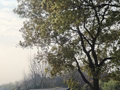 -瑶湖湿地自然保护区