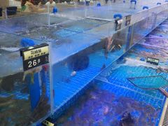 水产区-必点蒸汽海鲜(止锚湾店)