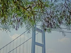 -威远炮台