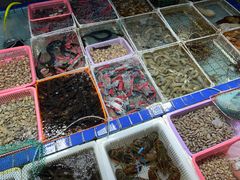 水产区-霞涌市场海鲜摆卖区