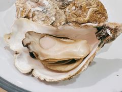 -杨氏青龙虾·羊蝎子(珠江路店)