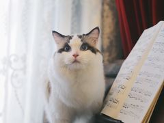 -Pets First伊珊娜洗护·精致美容·家庭式寄养(新会路店)
