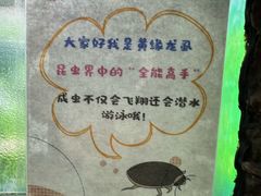 -上海大自然野生昆虫馆(东方明珠·爬宠昆虫探索中心)