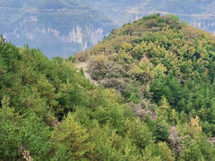 -山西壶关太行山大峡谷旅游景区