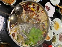 -青岛小羔羊火锅(李村公园店)