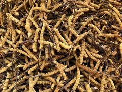 -回收名酒洋酒烟酒冬虫夏草礼品(上海总店)