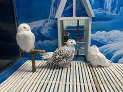 -成都浩海立方海洋公园