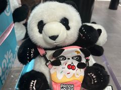 -熊猫屋(宽窄巷子景区店)