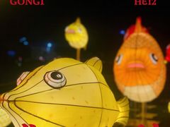 -光明小镇欢乐田园