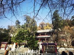 -潭柘寺景区