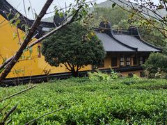 -杭州西湖风景名胜区-三生石