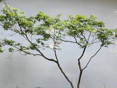 -花迹(富春江东街店)