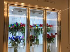 -ROSEONLY诺誓(国际广场购物中心店)