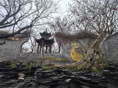 -朴园