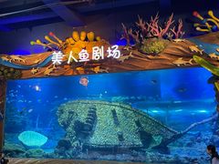 -太奥幻太奇海洋馆