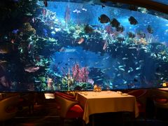 -迪拜帆船酒店海底餐厅