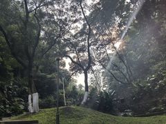 -火炉山森林公园