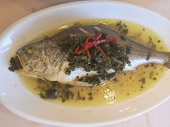 雪菜蒸大黄鱼-上海老饭店(北京分店)