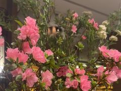 -上海静安铂尔曼酒店