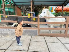 -杭州开元森泊度假乐园