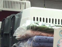 -北京观赏动物医院·24小时大型综合·猫专科·异宠专科