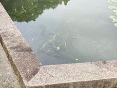 -韩湘水博园