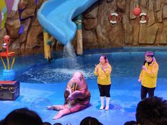 -烟台海昌鲸鲨海洋公园