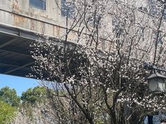 -白塔公园-儿童游乐园
