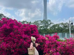 -海心沙亚运公园