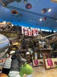 -卡通尼·Safari非洲探索乐园·生日会(金桥国际商业广场店)