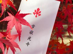 -常寂光寺