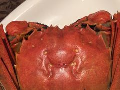新光酒家方亮蟹宴(浦东店)-新光酒家·河豚·海鲜·蟹料理(浦东店)