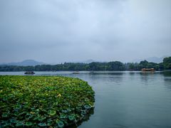 -楼外楼(西湖景区孤山路店)