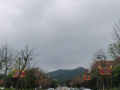 -照金红色旅游名镇
