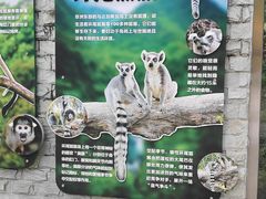 -成都动物园
