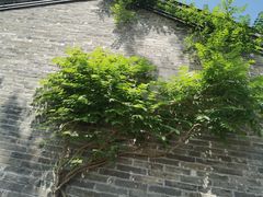 -回龙窝历史文化街区
