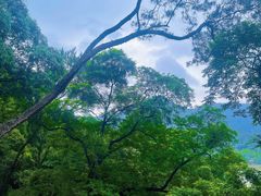 -飞霞风景名胜区