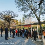 早上做完了核酸顺便去凤凰山爬了个山，据说山顶的亭子要