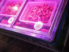 -313羊庄铁锅烀羊肉·烤全羊·烧烤龙虾·团建聚餐(永德路店)