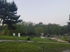 -莫子山公园