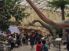 -国家自然博物馆