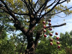 -广州雕塑公园