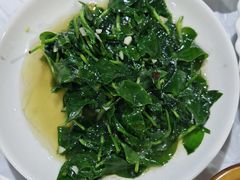 -明升萝卜汤