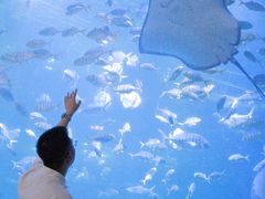 -福州罗源湾海洋世界旅游区