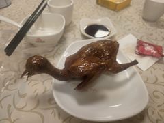 -百利鸽王(紫薇路店)