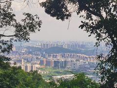 -火炉山森林公园